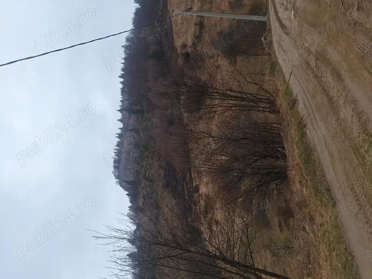Teren intravilan Magura - 7