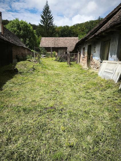 Casă cu Teren 5000 Mp în Apold