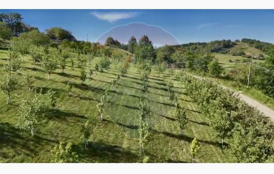 Teren agricol intravilan de 20170 mp, în Șuncuiuș
