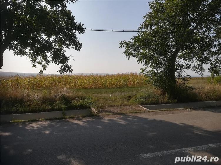 Teren de 5000 mp, în Cristești
