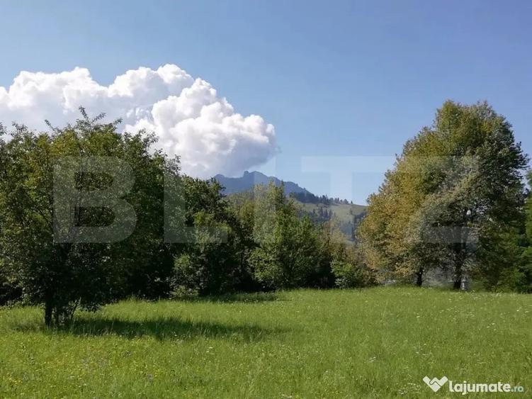 Teren de 2500 mp, în Ceahlău