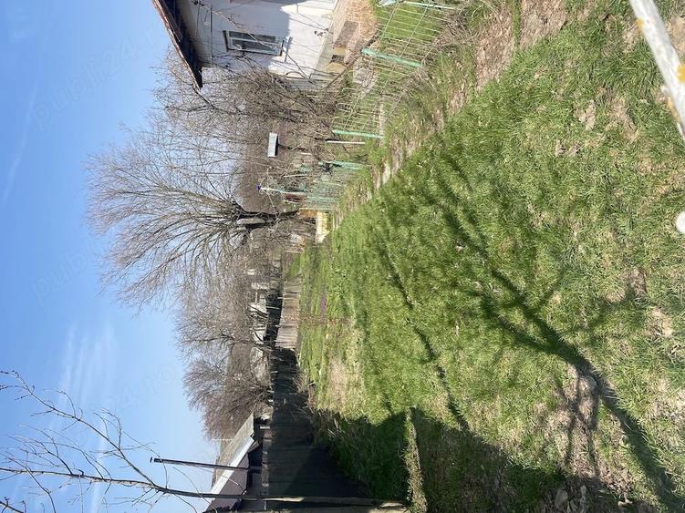 Vand casa cu teren - 3