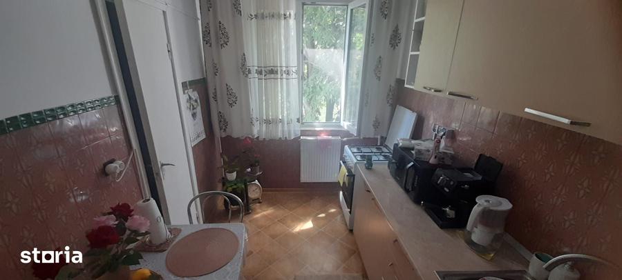 Valea Ialomitei,Aleea Campul cu Flori - 6