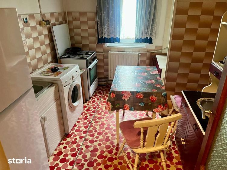 Apartament 2 camere-Centrala proprie-45,64 mp-Parcul Clabucet-Sagului - 16