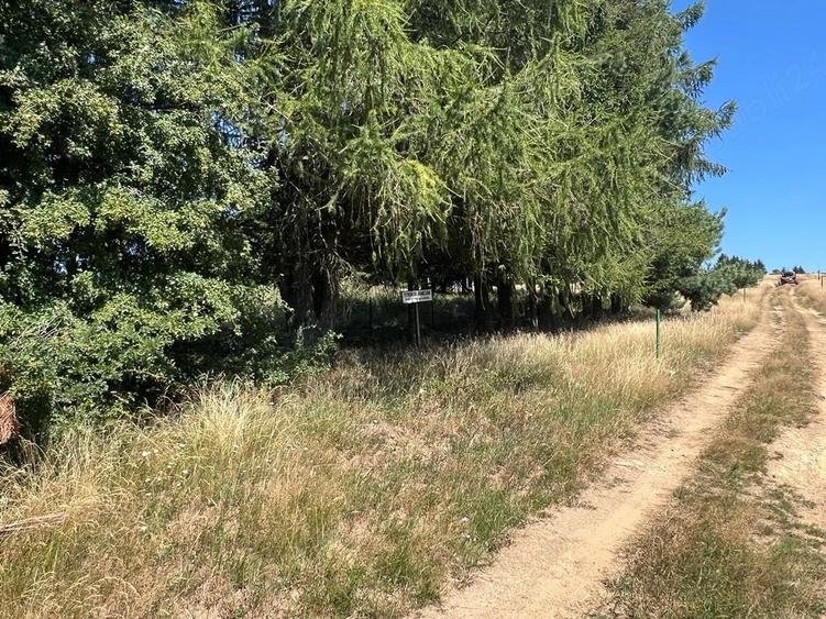 Teren de 4290 mp, în Gărâna