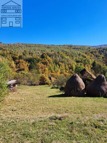 Teren Construcții extravilan de 51000 mp, în Bulz