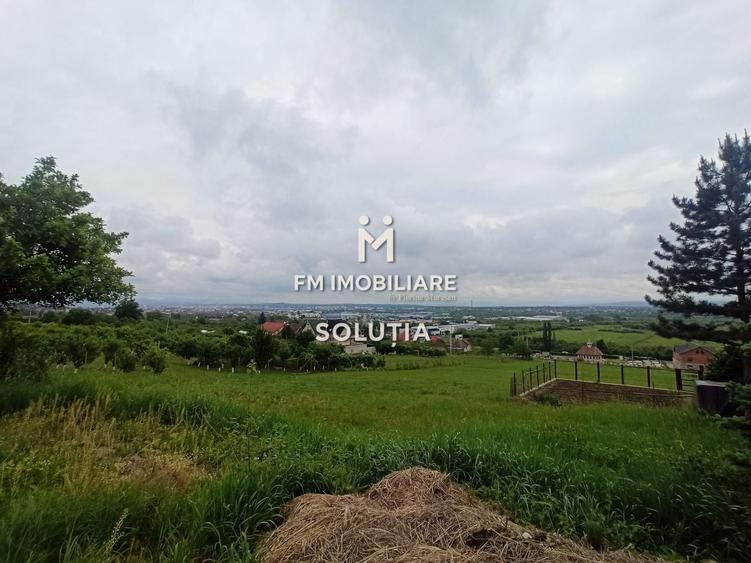 Teren agricol extravilan de 6330 mp, în Valea Borcutului