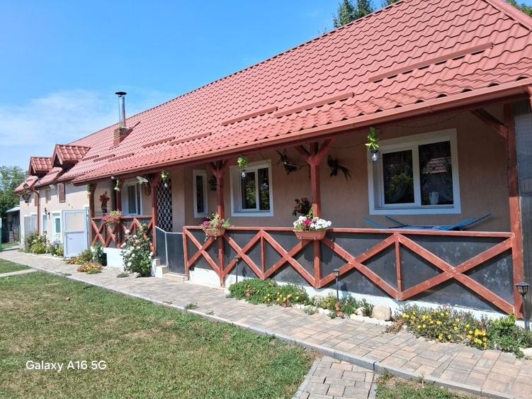 Casă cu 3 camere în Chichiș
