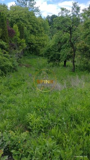 Teren Construcții intravilan de 5438 mp, în Breaza