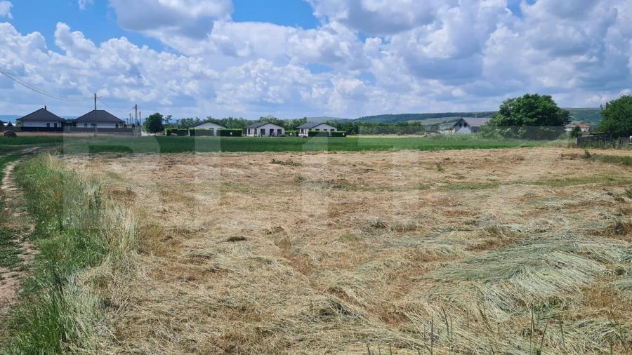 Teren agricol intravilan de 3600 mp, în Jucu de Mijloc
