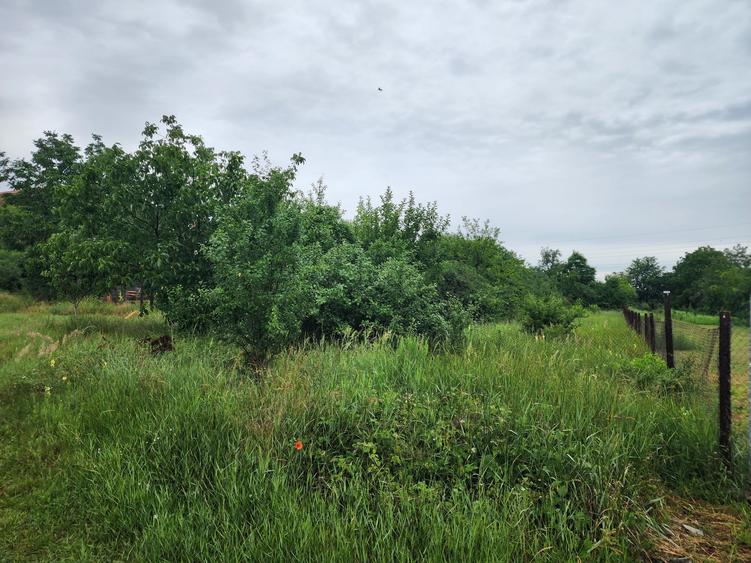 Teren Construcții extravilan de 1000 mp, în Giroc
