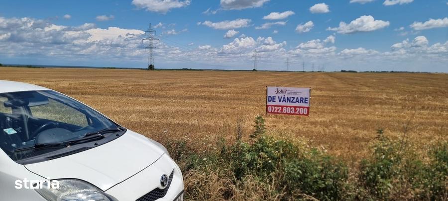 Teren de 260000 mp, în Căteasca