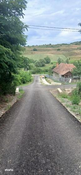 Casă cu 2 camere cu Teren 7000 Mp în Central