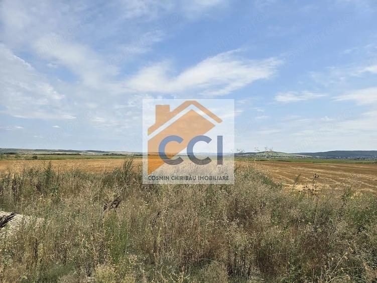 Teren intravilan 50.000 mp, Bacau, ?oseaua Hol - 4