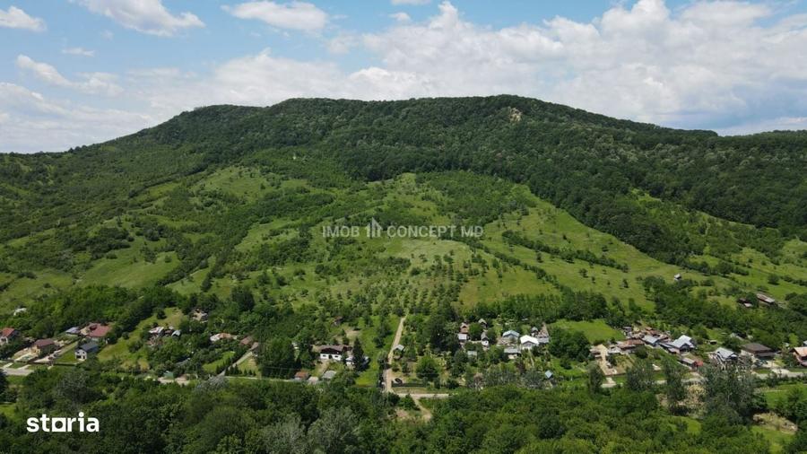 Spațiu comercial, în Șoimari