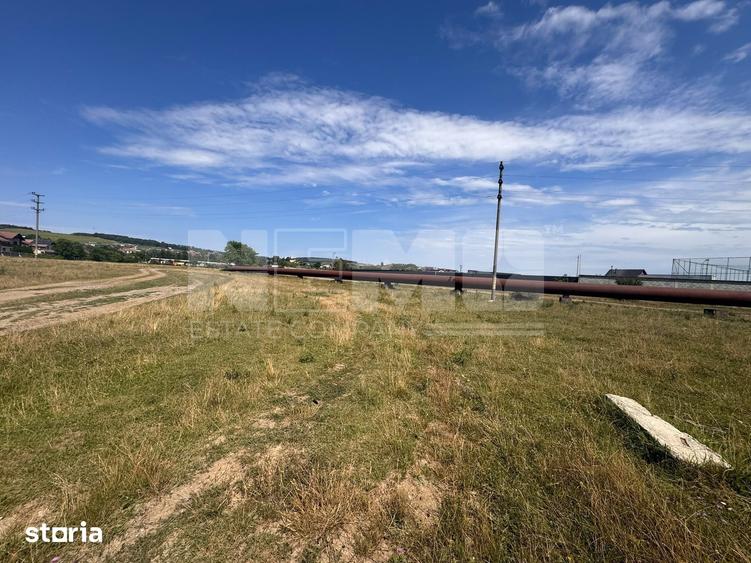 Teren Itcani | 31 Ari | Extravilan | Deschidere 11.5 MP | 93000 Euro - 5