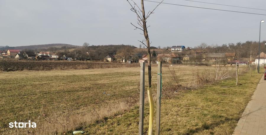 Teren de 1500 mp, în Vultureni