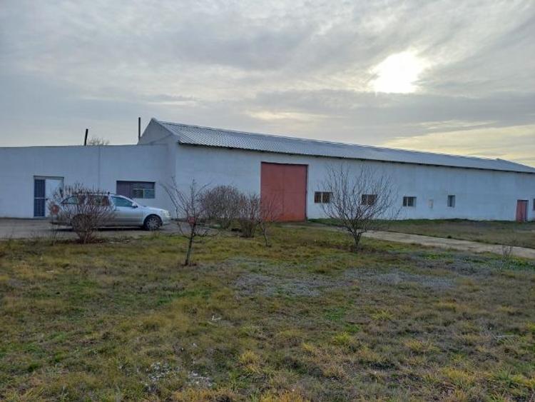 Spațiu industrial, 1500 mp în Mangalia