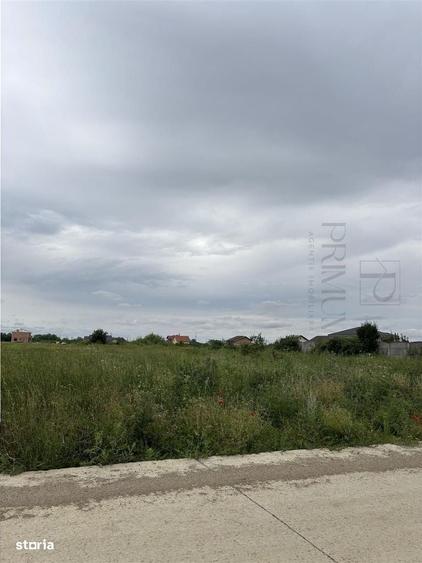 Teren- Mosnita Noua- Toate utilitatile+ strada betonata - 3