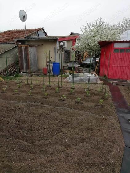 Casă cu 4 camere în Izvoru Dulce (Merei)