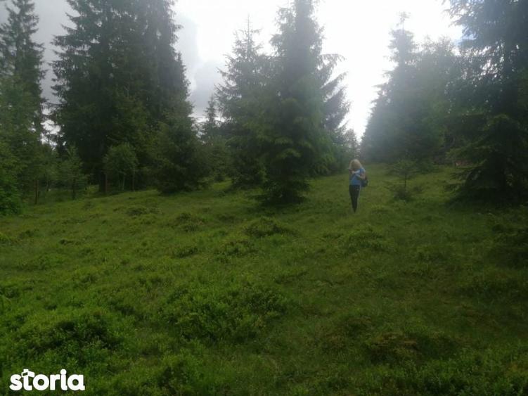 Teren de 1300 mp, în Beliș