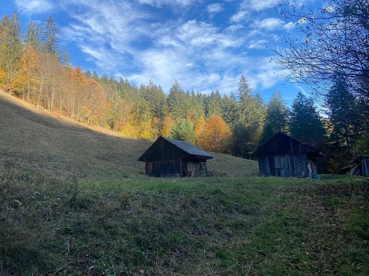 Teren de 14500 mp, în Central
