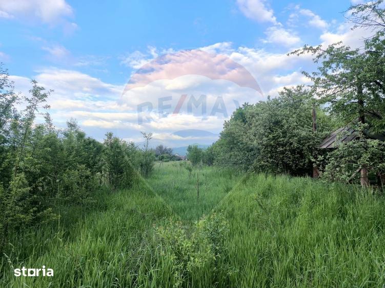 Casă cu 7 camere cu Teren 3650 Mp în Central