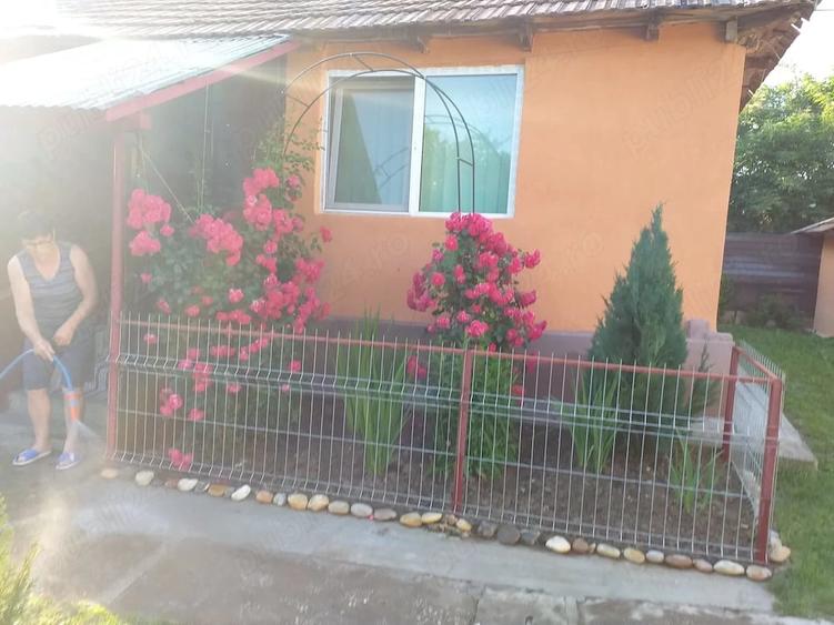Casă cu 3 camere cu Teren 4000 Mp în Dejești