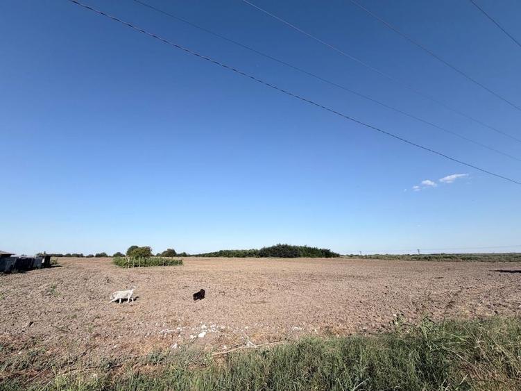 Teren 3.500 mp Gradistea Ilfov | 2.857 mp intravilan | Asfalt | 129.000 - 2