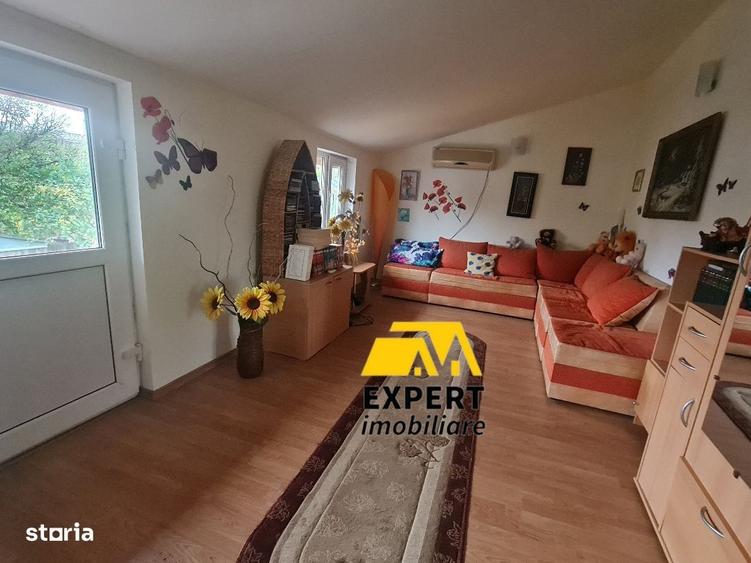 Casa Brailita sup 577 mp ,mobilata complet - 8