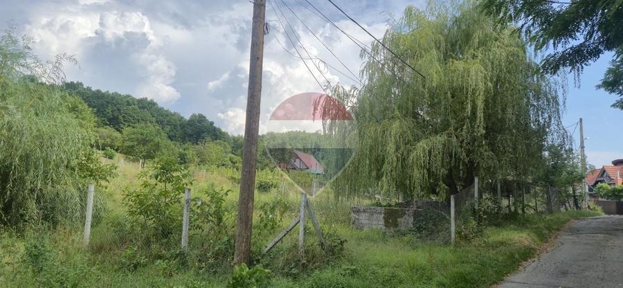 Teren Construcții intravilan de 4865 mp, în Nord-Est