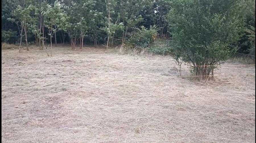Teren de 775 mp, în Polovragi