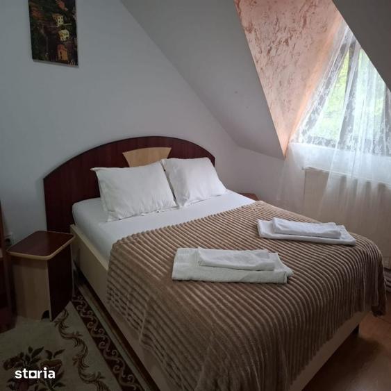 Restaurant - Pensiune, 830 mp utili, teren 2500 mp, la ?oseaua Bucium - 3