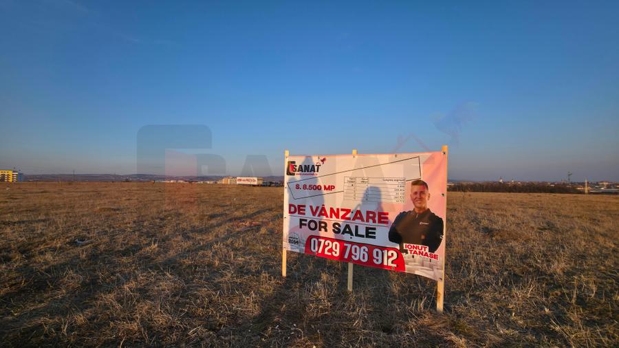 Teren Construcții intravilan de 8500 mp, în Turnișor
