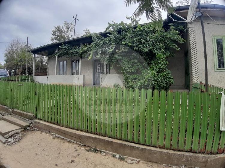 Casă individuală cu 3 camere cu Teren 4900 Mp în Băneasa