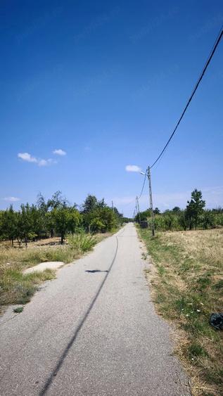 Teren de 9177 mp, în Ceretu