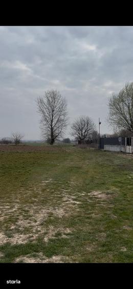 Teren de 5000 mp, în Podari