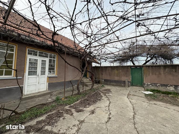 Casă cu 4 camere cu Teren 3767 Mp în Borș