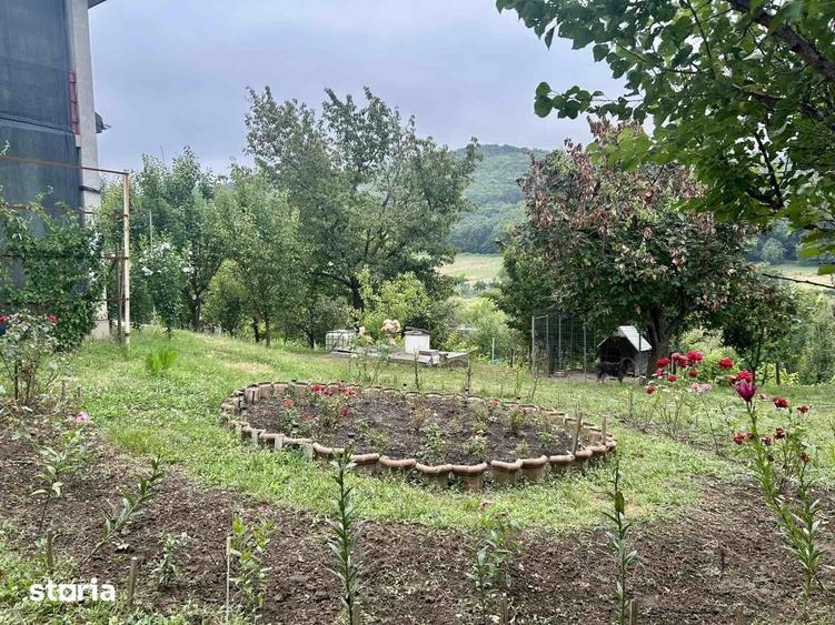 Casă cu 3 camere cu Teren 2200 Mp în Chicerea