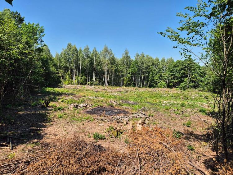 Teren de 3700 mp, în Viștișoara