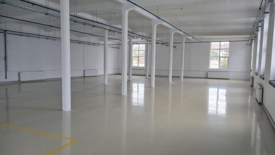 Spațiu industrial, de 500 mp, în Cisnădie