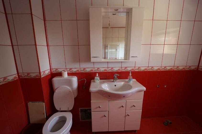 Casă individuală cu 5 camere cu Canalizare în Olteni