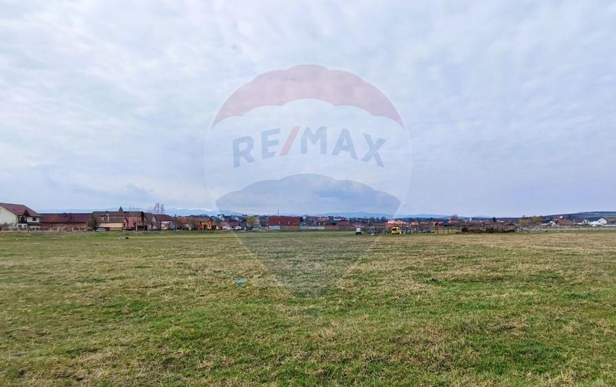 Teren agricol extravilan de 4900 mp, în Șura Mică