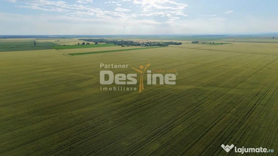 Teren de 41225 mp, în Dumbrava