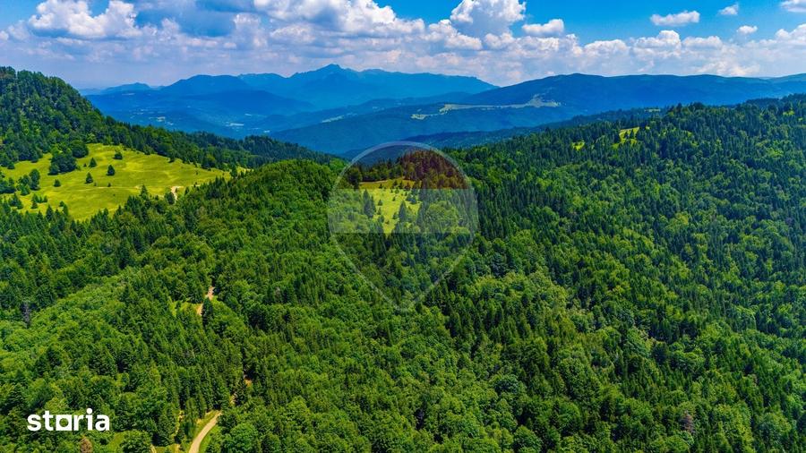 Teren de 7000 mp, în Gârcini