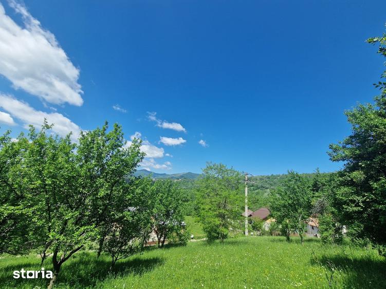 Teren de 3186 mp, în Poiana