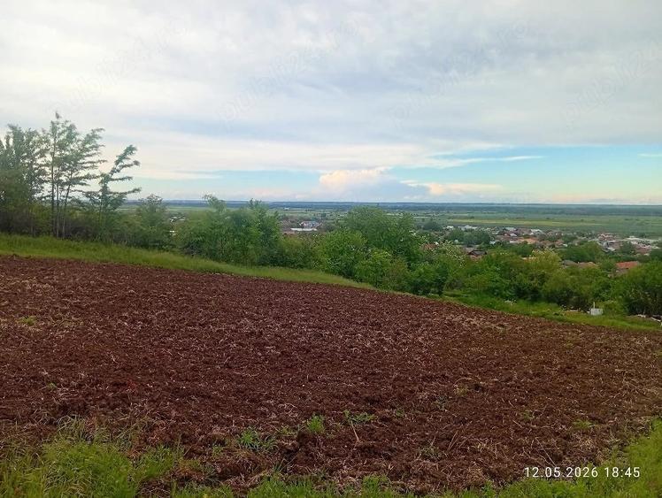 Teren de 1000 mp, în Central