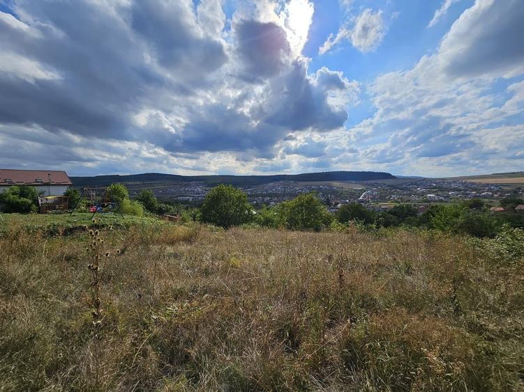 Teren Construcții intravilan de 2030 mp, în Chinteni