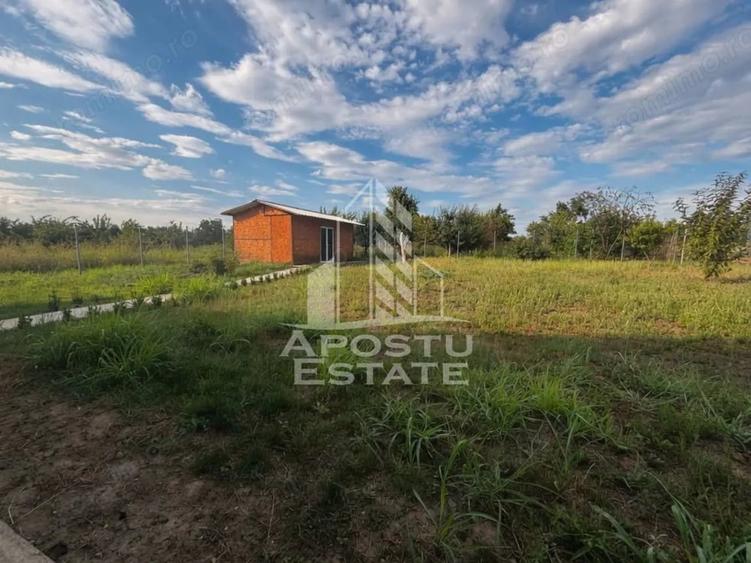 Casă cu 5 camere cu Teren 800 Mp în Pădureni (Jebel)