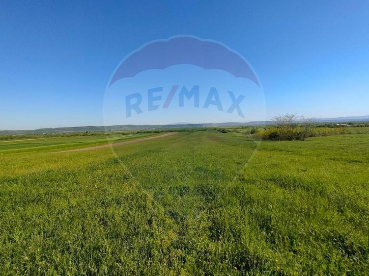 Teren agricol extravilan de 1668 mp, în Gura Râului
